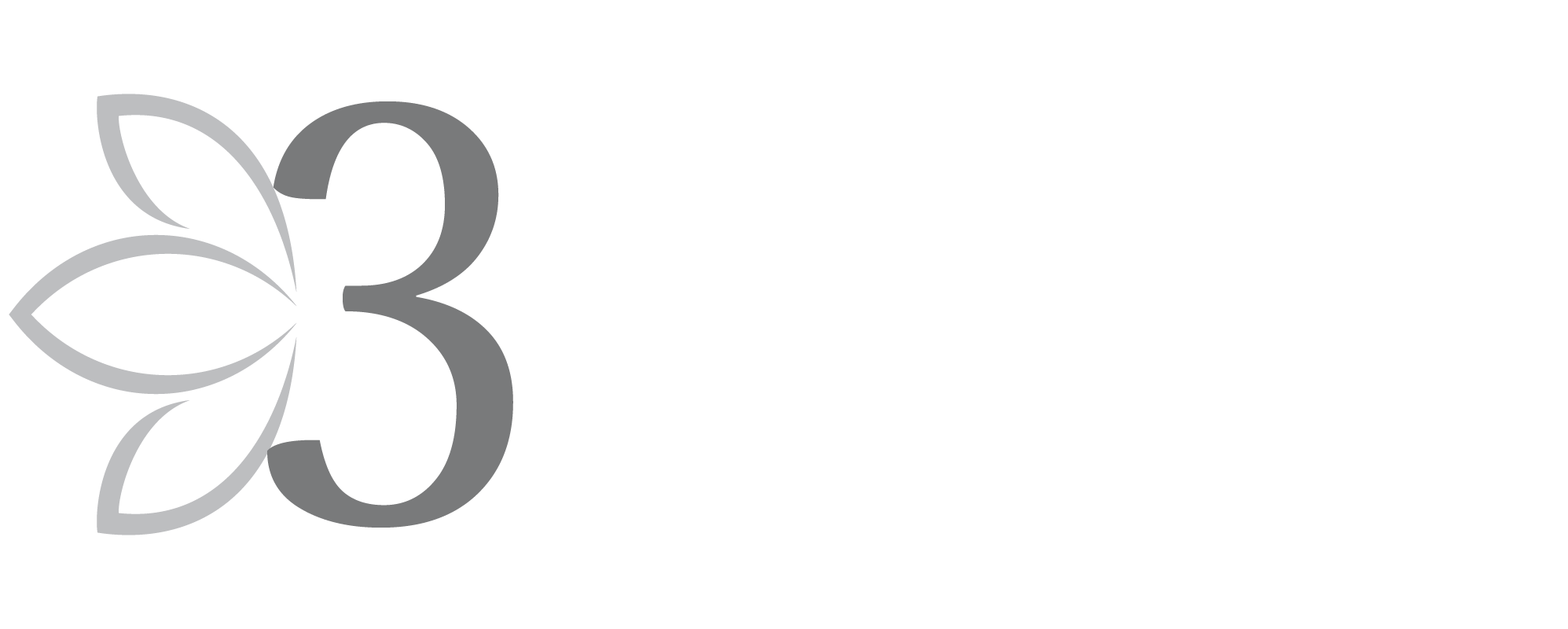 3LOTUS GROUP – A Construction & Roofing Company