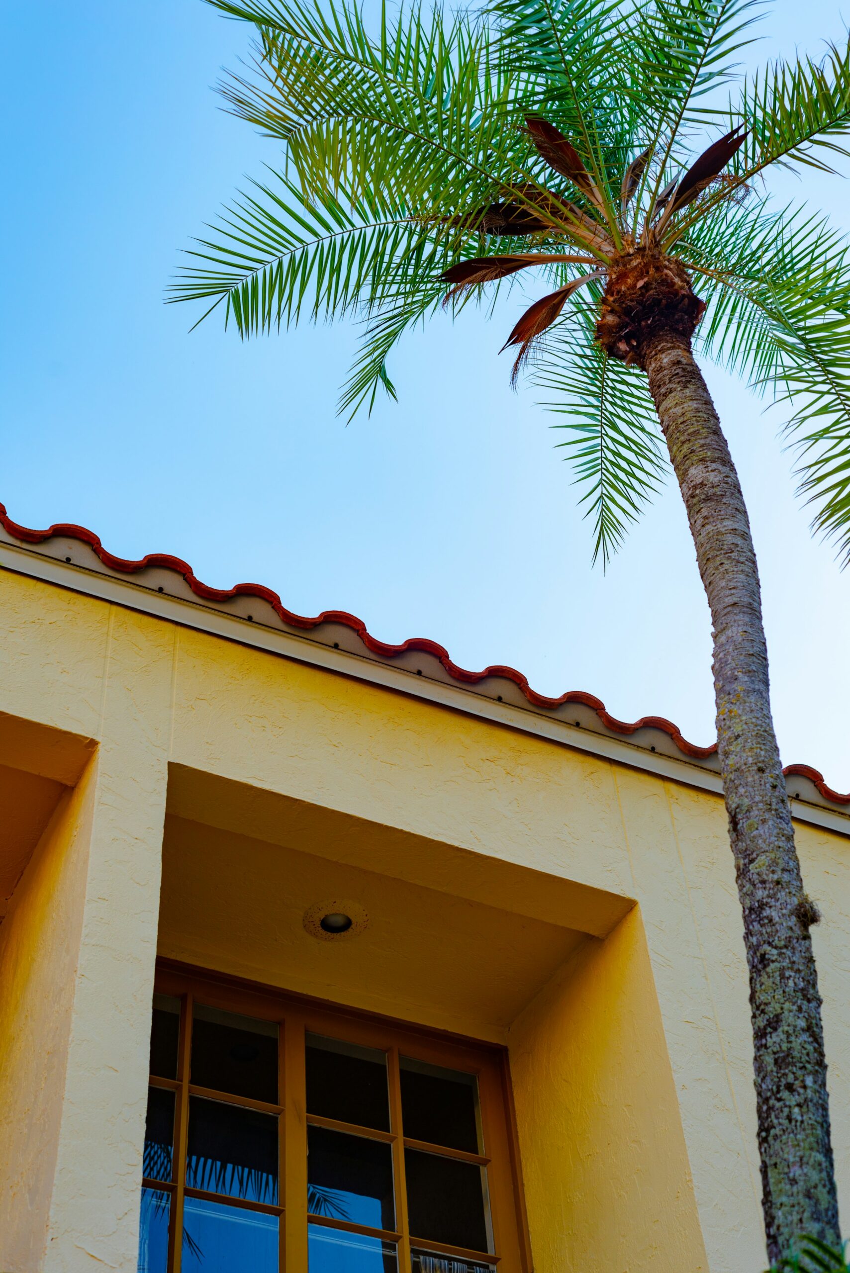 Terracotta barrel tile roof finish example, Florida
